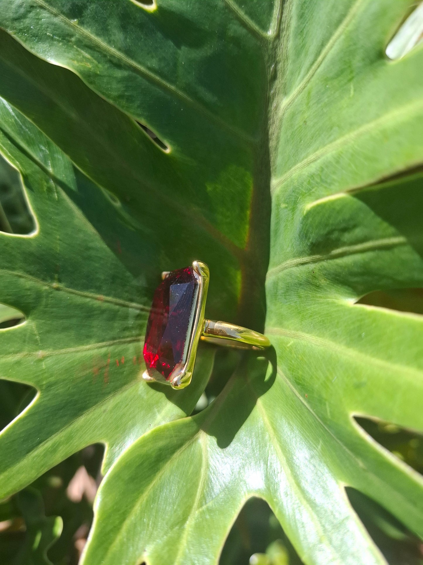 SIGNA - other colours available