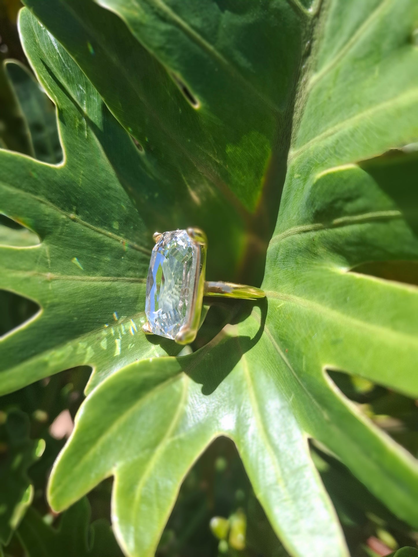 SIGNA - other colours available