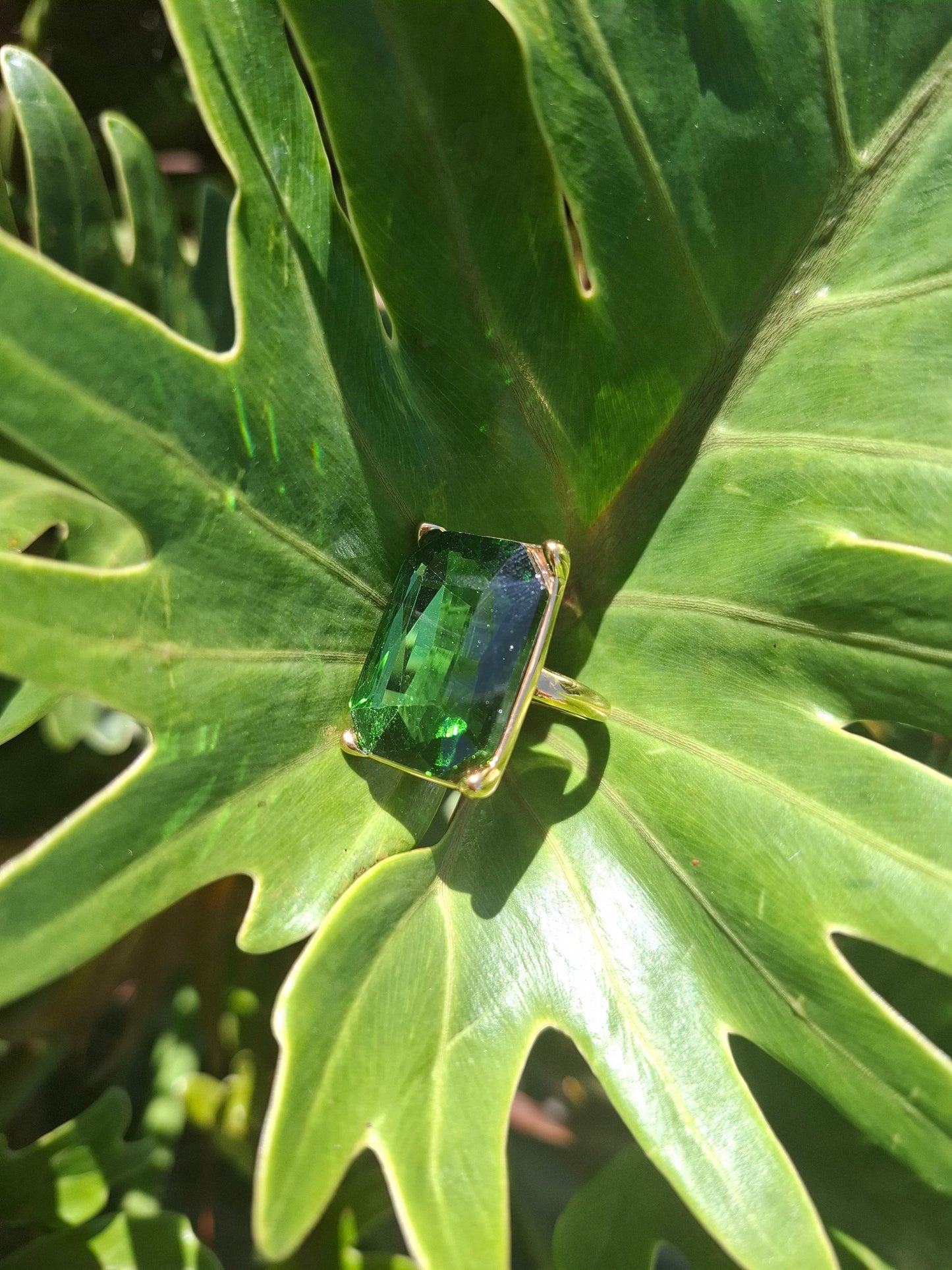SIGNA - other colours available