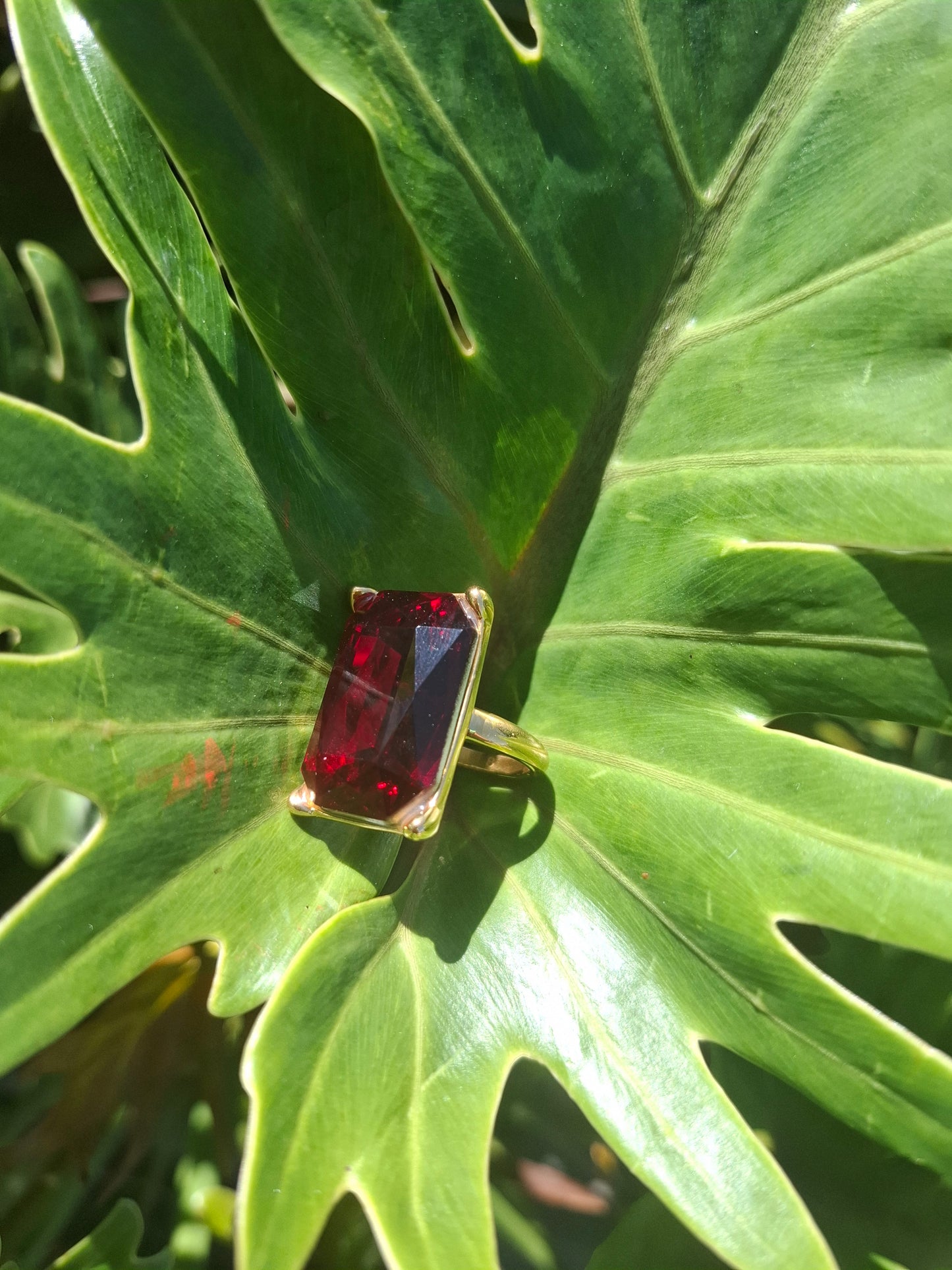 SIGNA - other colours available